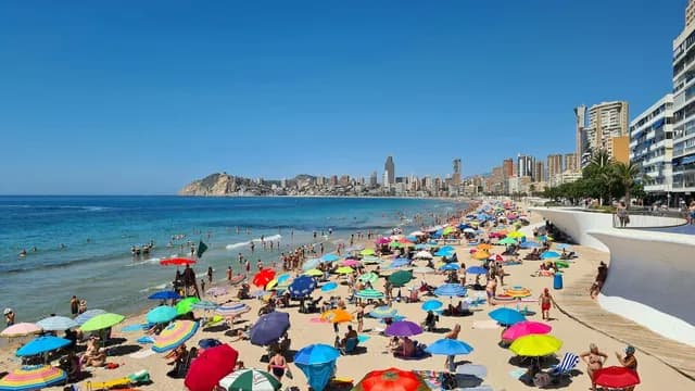 Alicante