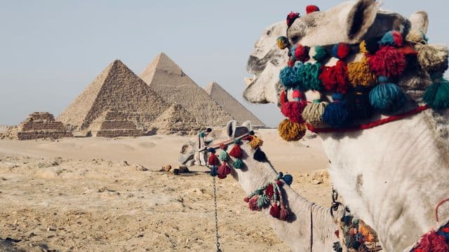 Cairo
