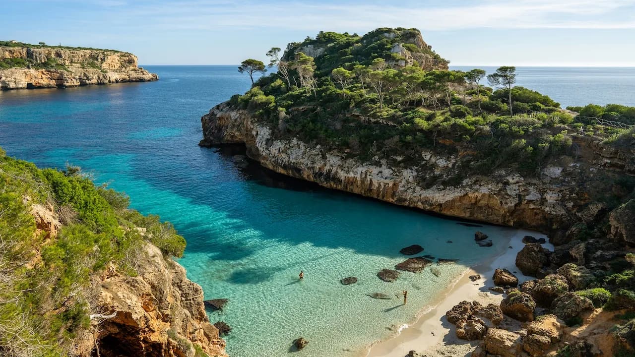 Palma